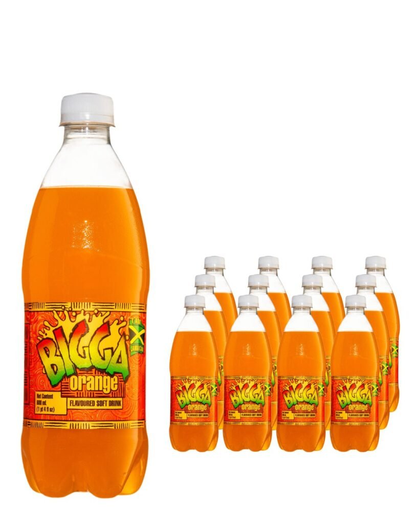 Wholesale Bigga Orange Flavoured Soft Drink Multipack 12 x 600 ml