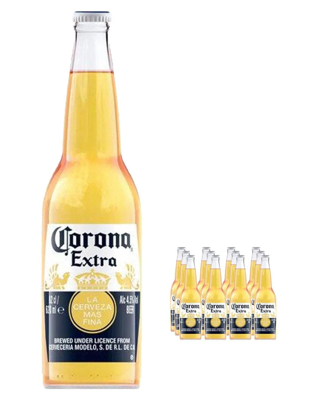 Buy Corona Beer Bulk Wholesale