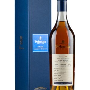 Delamain Single Vineyard Ambleville 1995 Cognac, 70 cl