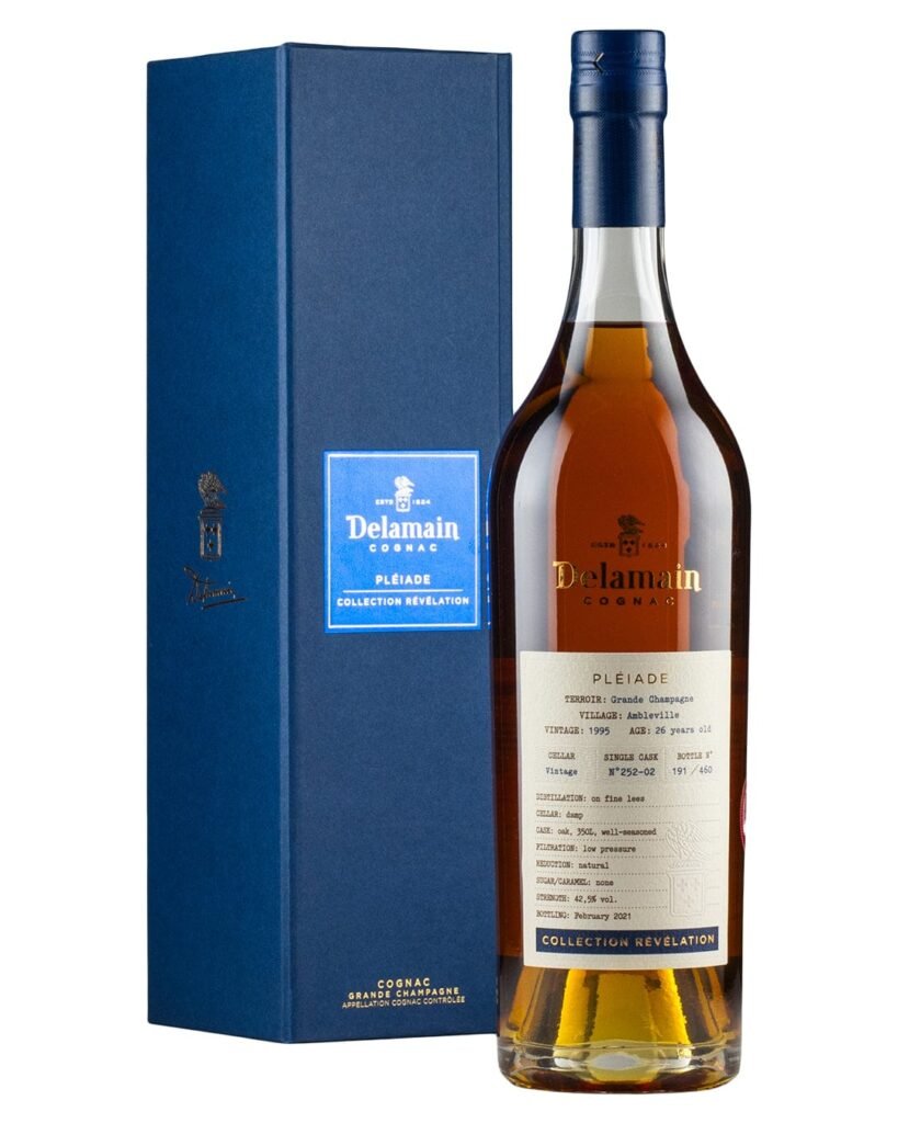 Wholesale Delamain Single Vineyard Ambleville 1995 Cognac 70 cl