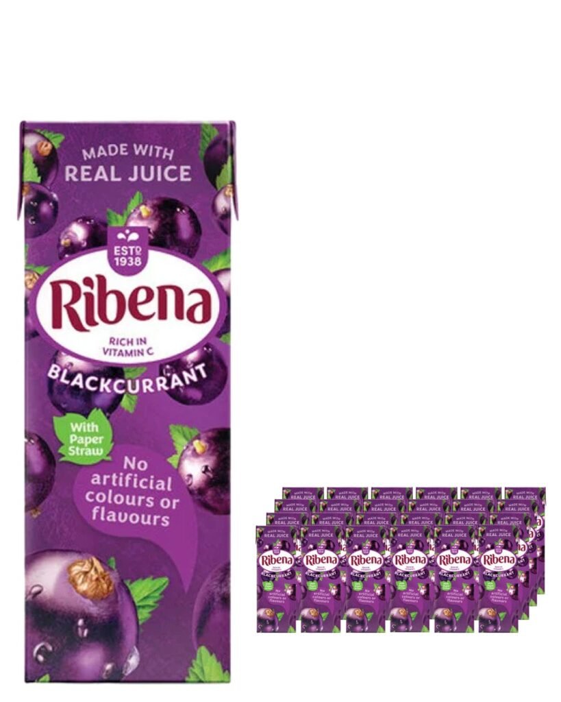 Wholesale Ribena Blackcurrant Juice Drink Multipack 24 x 250 ml