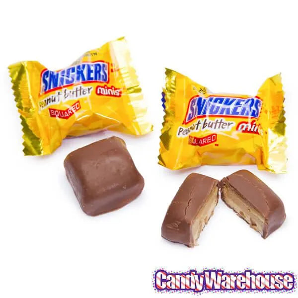 Snickers Peanut Butter Squared Minis Candy: 11.5-Ounce Bag - Image 2