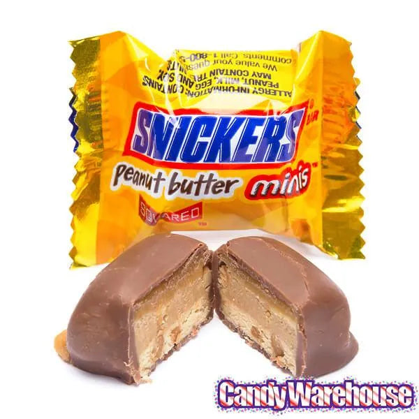 Snickers Peanut Butter Squared Minis Candy: 11.5-Ounce Bag - Image 4