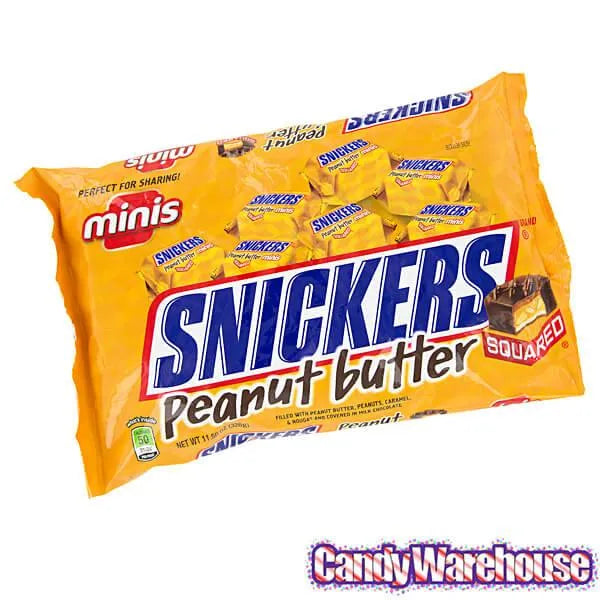 Snickers Peanut Butter Squared Minis Candy: 11.5-Ounce Bag - Image 5