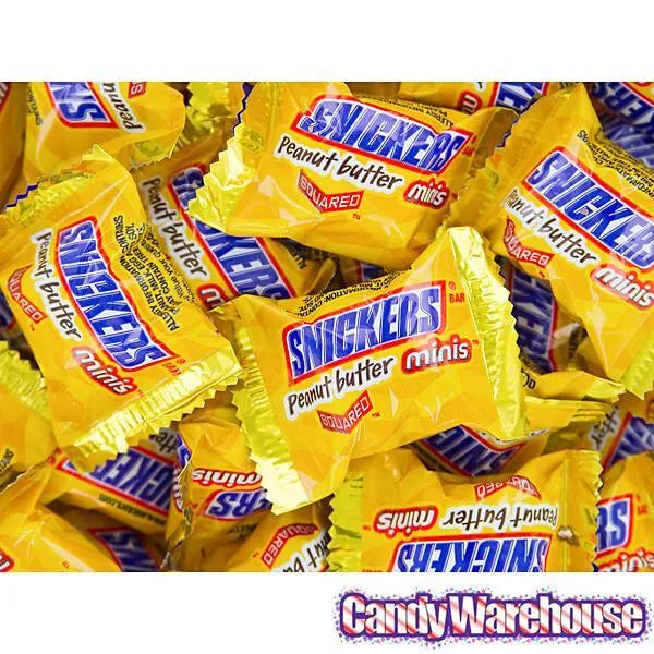 Snickers Peanut Butter Squared Minis Candy: 11.5-Ounce Bag - Image 6